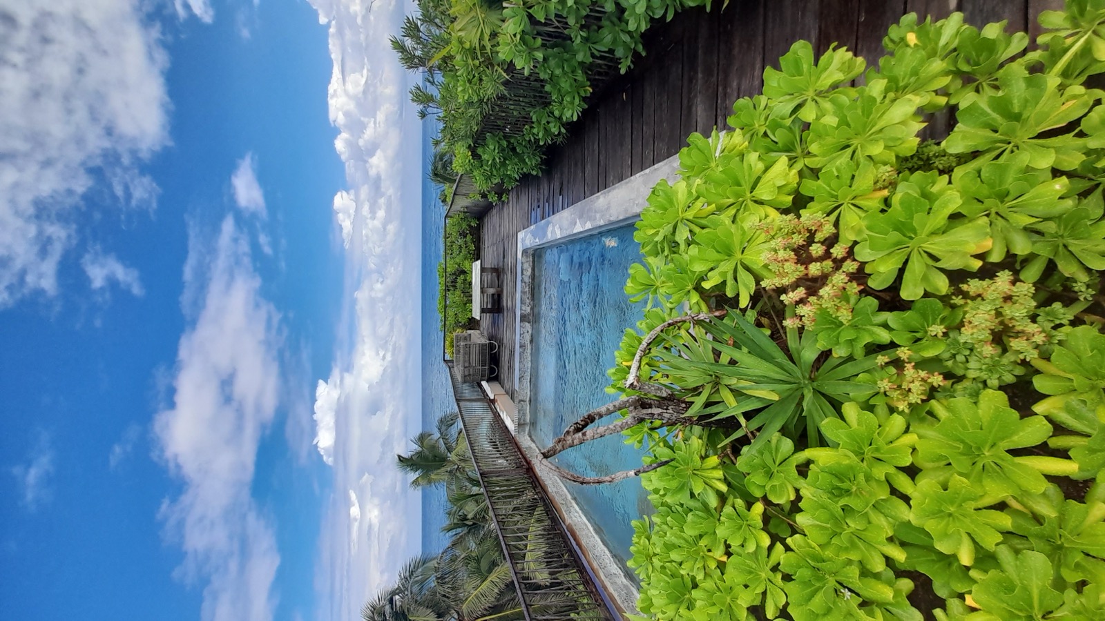 A rooftop pool overlooking the ocean in Tulum.